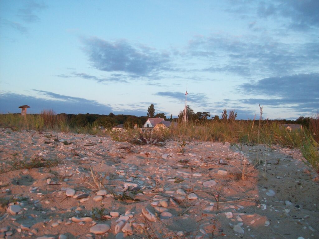Morning sun on the shore