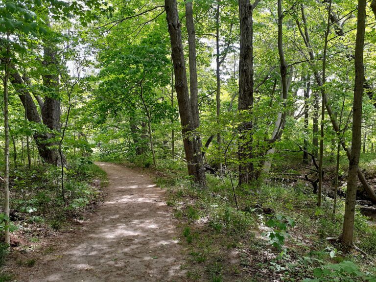 Pilgrimage to Pilgrim Haven - Two Weeks in a Hammock